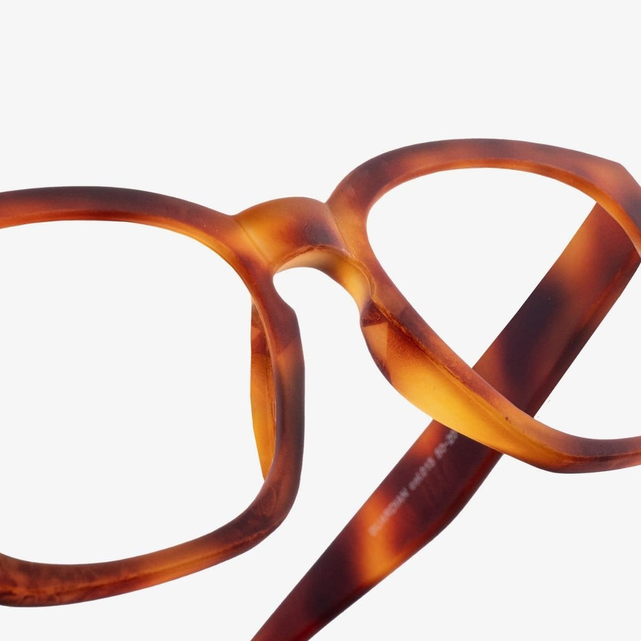 Guardian Multifocale bril – RAU Readers